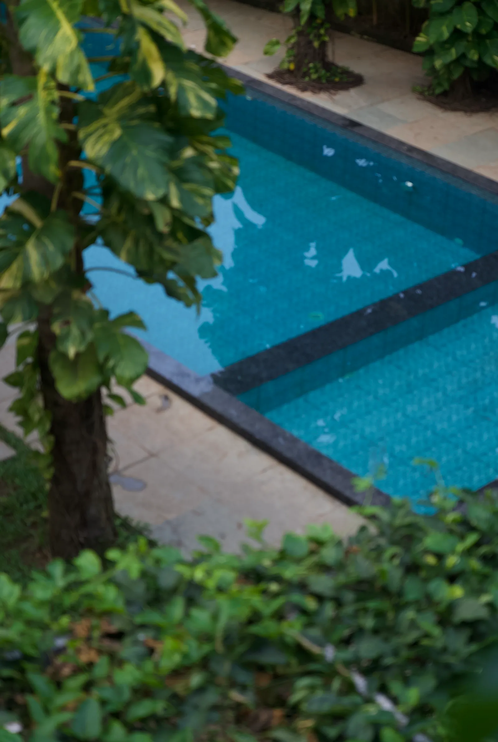 The Paddlecult pool in the evening