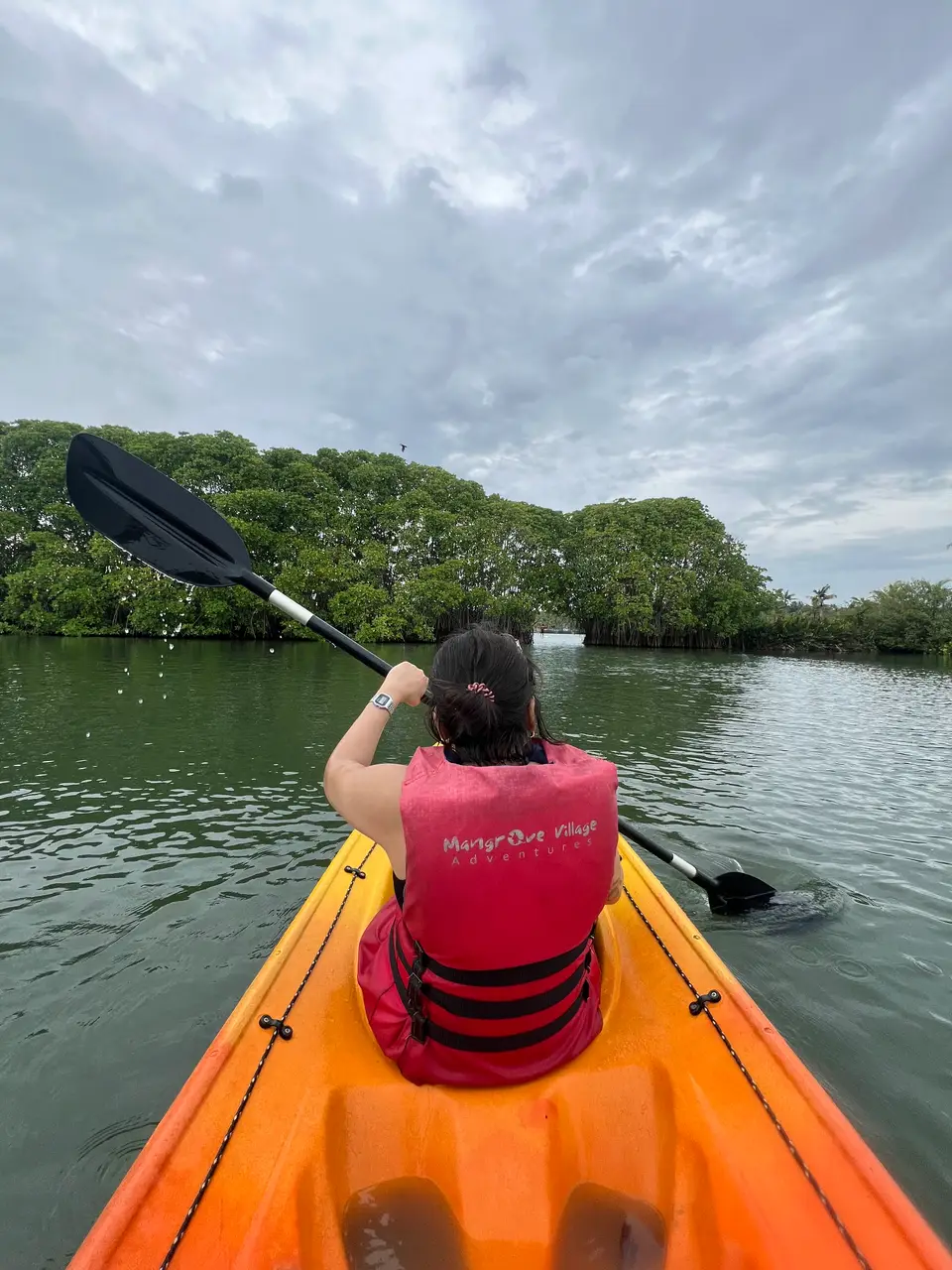 A kayaker beneath mangroves beside a narrow waterway