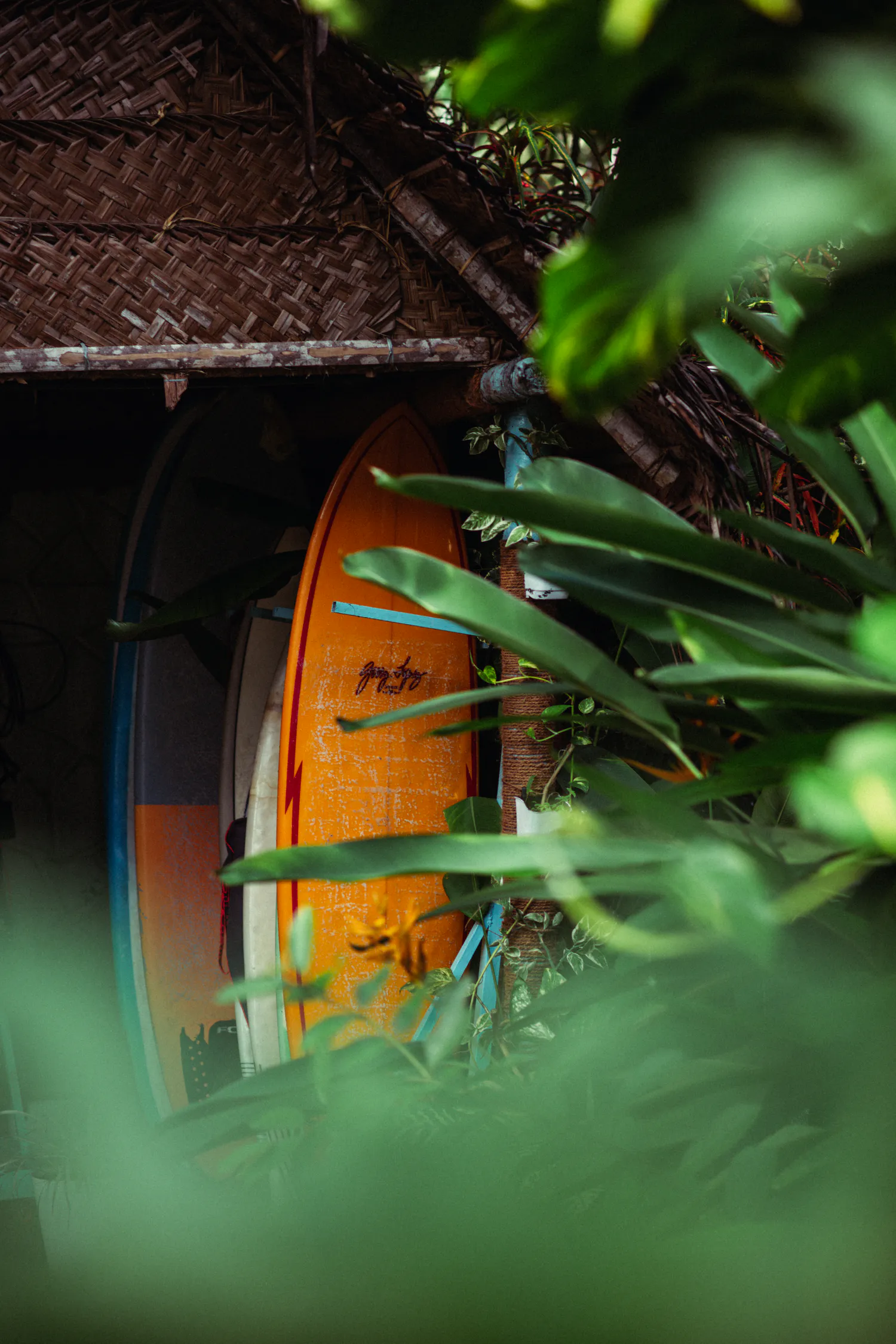 Surfboards stored beneath a thatched roof among Paddlecult’s tropical plants
