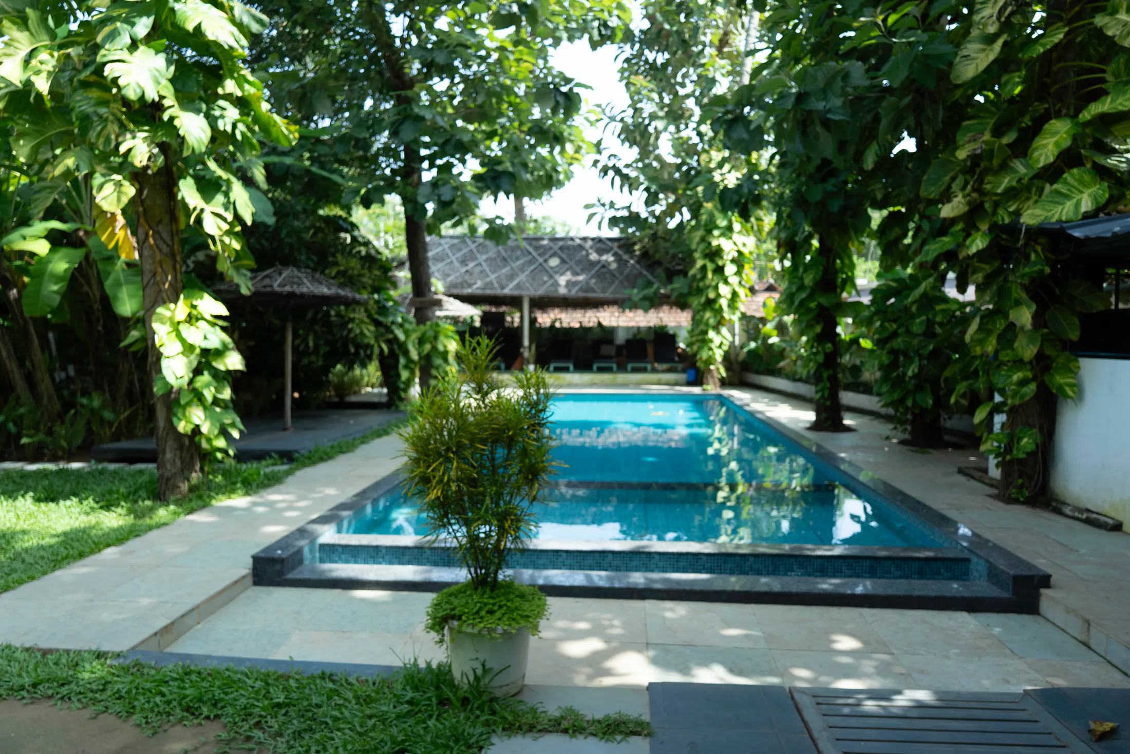 Paddlecult accommodation surrounded by tropical greenery in Varkala