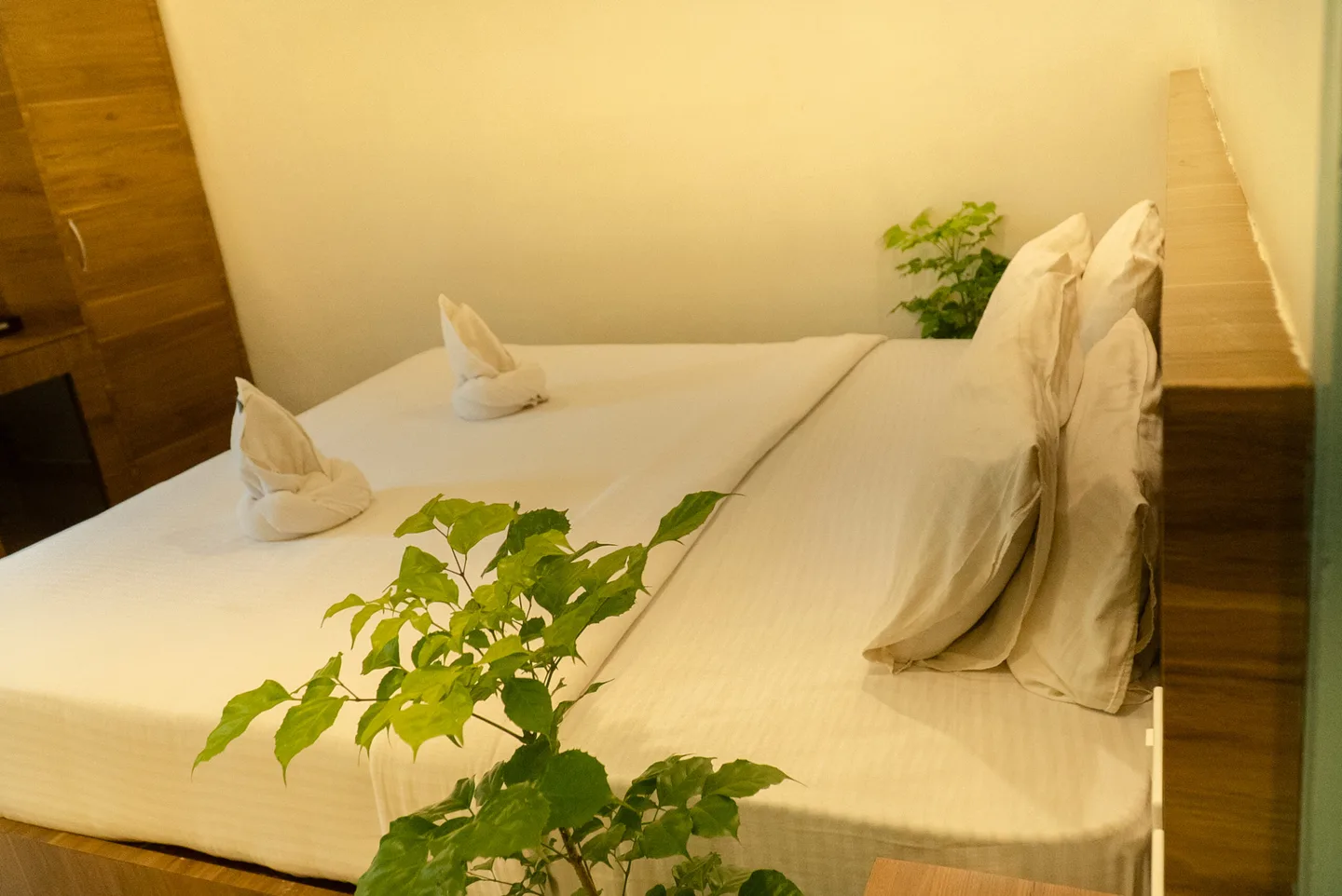 White bedding and folded towels in the Paddlecult Coastal Room