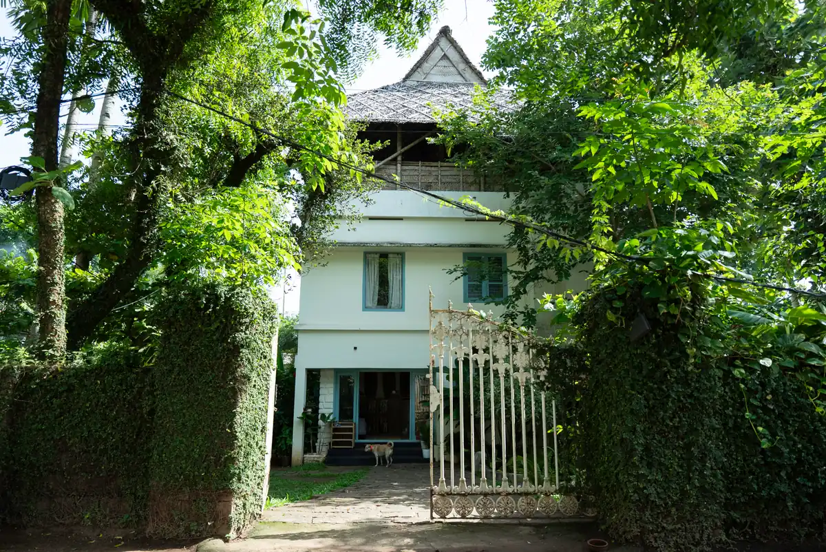 The garden entrance and walkway to Paddlecult rooms