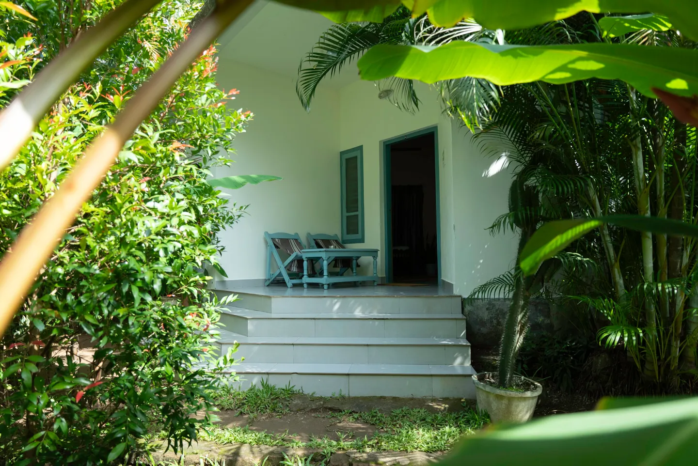 Tropical Cottage entrance surrounded by tropical garden plants